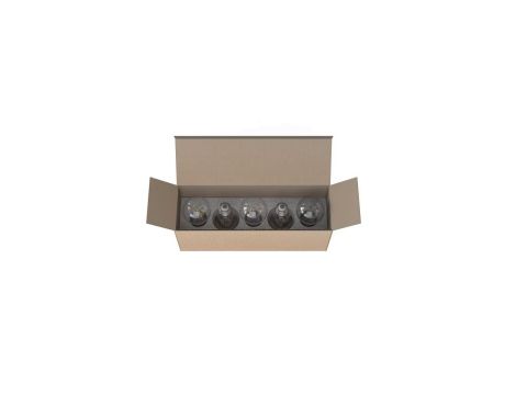 Zestaw 5 żarówek BULB LED E27, A60 2W, 5 PC SET 7487 Nowodvorski Lighting