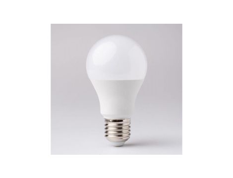 Żarówka Led E27 10W 24V 6500K 900lm