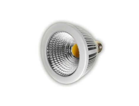Żarówka LED COB PAR30 10W 230V E27 biały dzienny