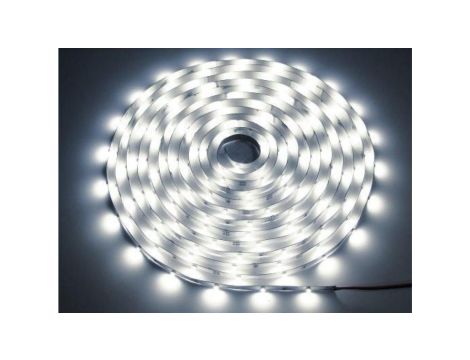 Taśma LED Premium 24V 2835 240d/m 50m 4000k IP20