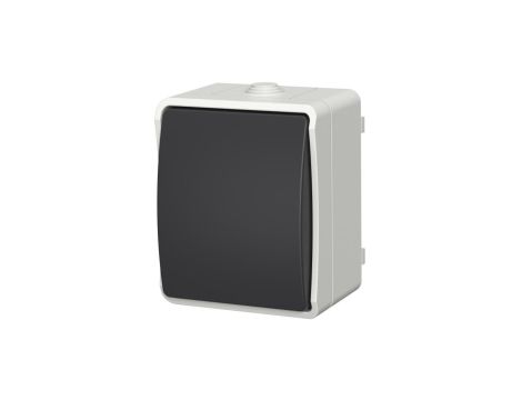 Łącznik pojedynczy uniwersalny natynkowy Aqua Plus IP54 szaro grafitowy 40110