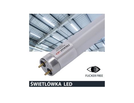 Świetlówka led T8 G13 150cm 25W 6000K 3200lm PC Prescot Flicker free