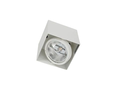 Oprawa Natynkowa Plaza 1xGU10 AR111 Biała ML4743 Milagro