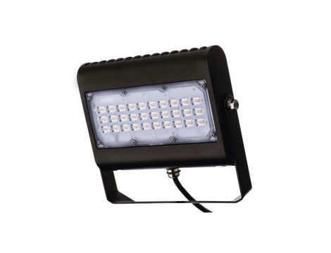 Projektor LED PROFI+ 50W 4750lm 4000K IP65 czarny ZS2430