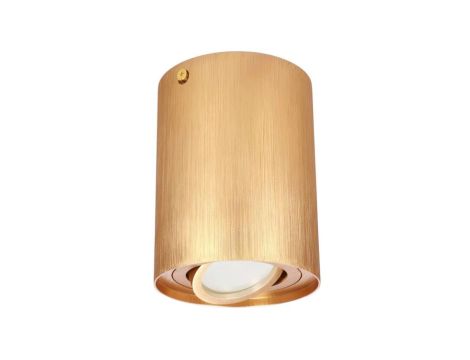 Punktowa oprawa sufitowa natynkowa SKAND 1 Gold GU10 IP20 okrągła złota EDO777225