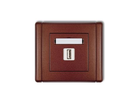 FLEXI Gniazdo pojedyncze USB-AA 3.0 brązowy metalik 9FGUSB-5