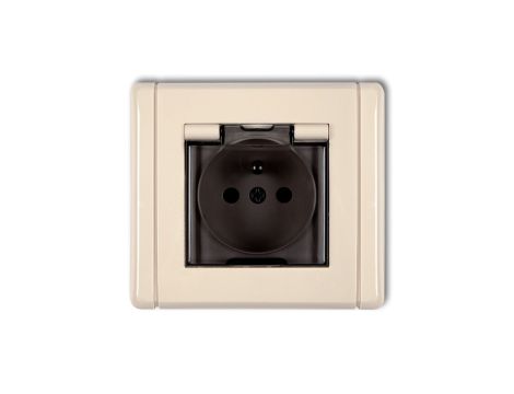 FLEXI Gniazdo bryzgoszczelne z/u (klapka dymna) beżowy 1FGPB-1zdp