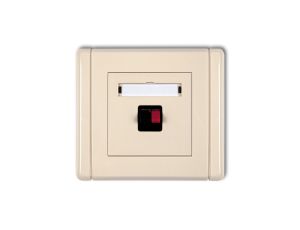 FLEXI Gniazdo głośnikowe pojedyncze beżowy 1FGG-1