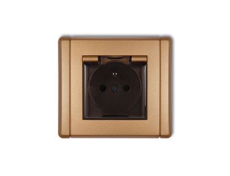 FLEXI Gniazdo bryzgoszczelne z/u (klapka dymna) złoty metalik 8FGPB-1zdp