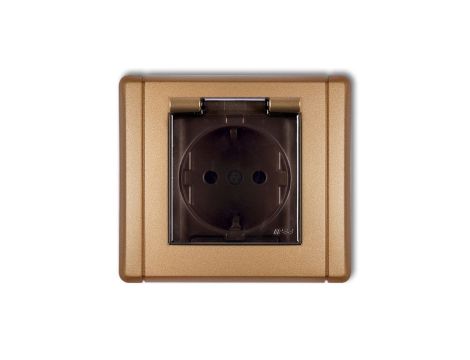 FLEXI Gniazdo bryzgoszczelne z/u SCHUKO (klapka dymna) złoty metalik 8FGPB-1sdp