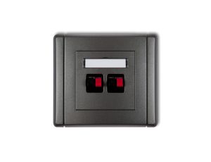 FLEXI Gniazdo głośnikowe podwójne grafitowy 11FGG-2