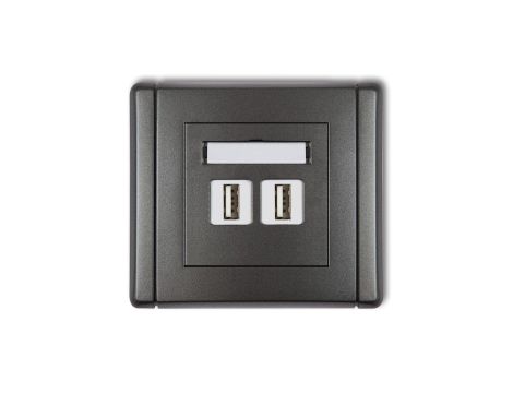 FLEXI Gniazdo podwójne 2xUSB-AA grafitowy 11FGUSB-2