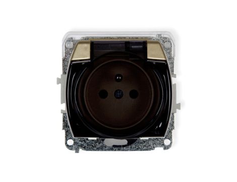 TREND Gniazdo bryzgoszczelne z/u (klapka dymna) złoty 6GPB-1zdp