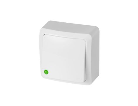 BERG Łącznik zwierny światło n/t 10AX IP20 biały 3713-00