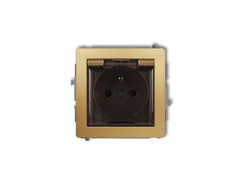 DECO Gniazdo bryzgoszczelne z/u (klapka dymna) złoty 29DGPB-1zdp