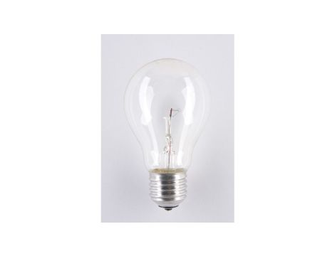 Żarówka E27 A55L 25W 24V SOLEO niskonapięciowa wysokotemperaturowa WST-2658