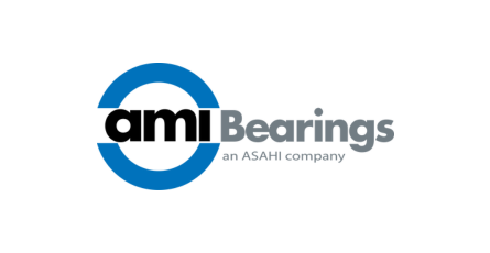 AMI BEARINGS