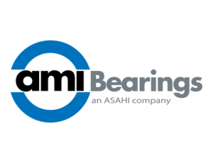 AMI BEARINGS